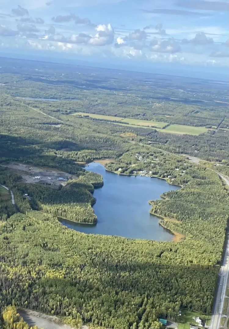 An aerial view of a lake surrounded by trees.